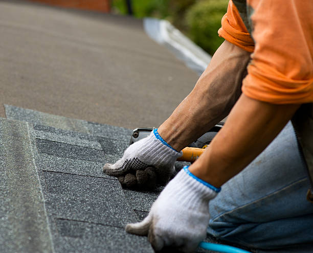 Best Metal Roofing Contractor  in Spring Glen, UT