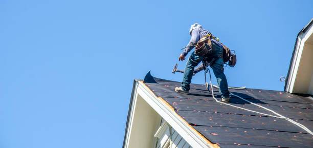 Best Roof Gutter Cleaning  in Spring Glen, UT